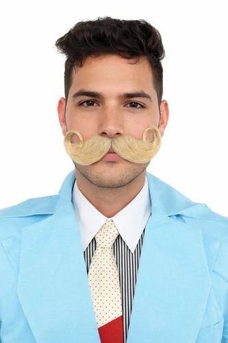 Imperial twisted mustache - twisted,