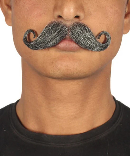 Herren grau lenker schnurrbart - herren,